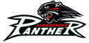 Augsburger Panther Case Study Badge